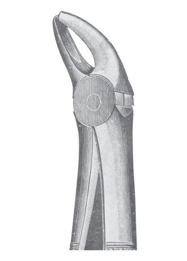 Extracting Forceps MSS-117-21