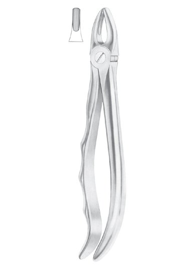Upper Laterals and Canines Extracting Forceps 2
