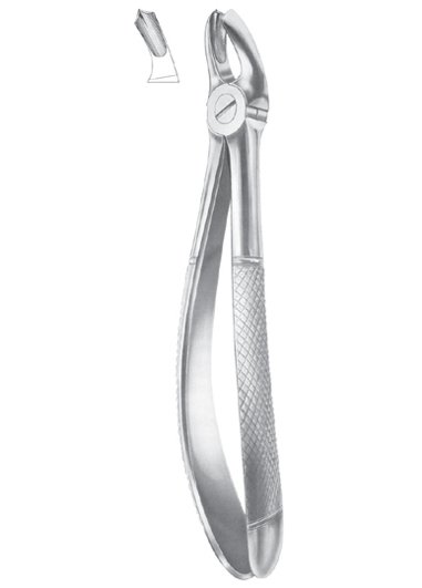 Upper Molars, Right Extracting Forceps